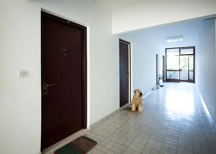 Apartment Asa Split